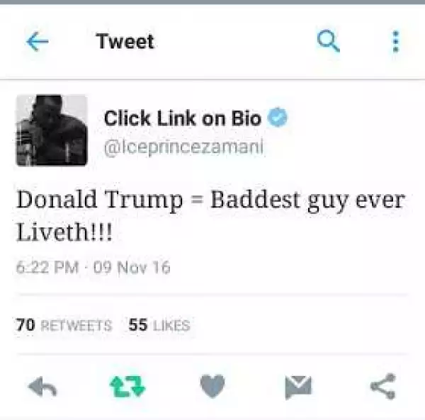 Fan Shades Ice Prince For Supporting Donald Trump